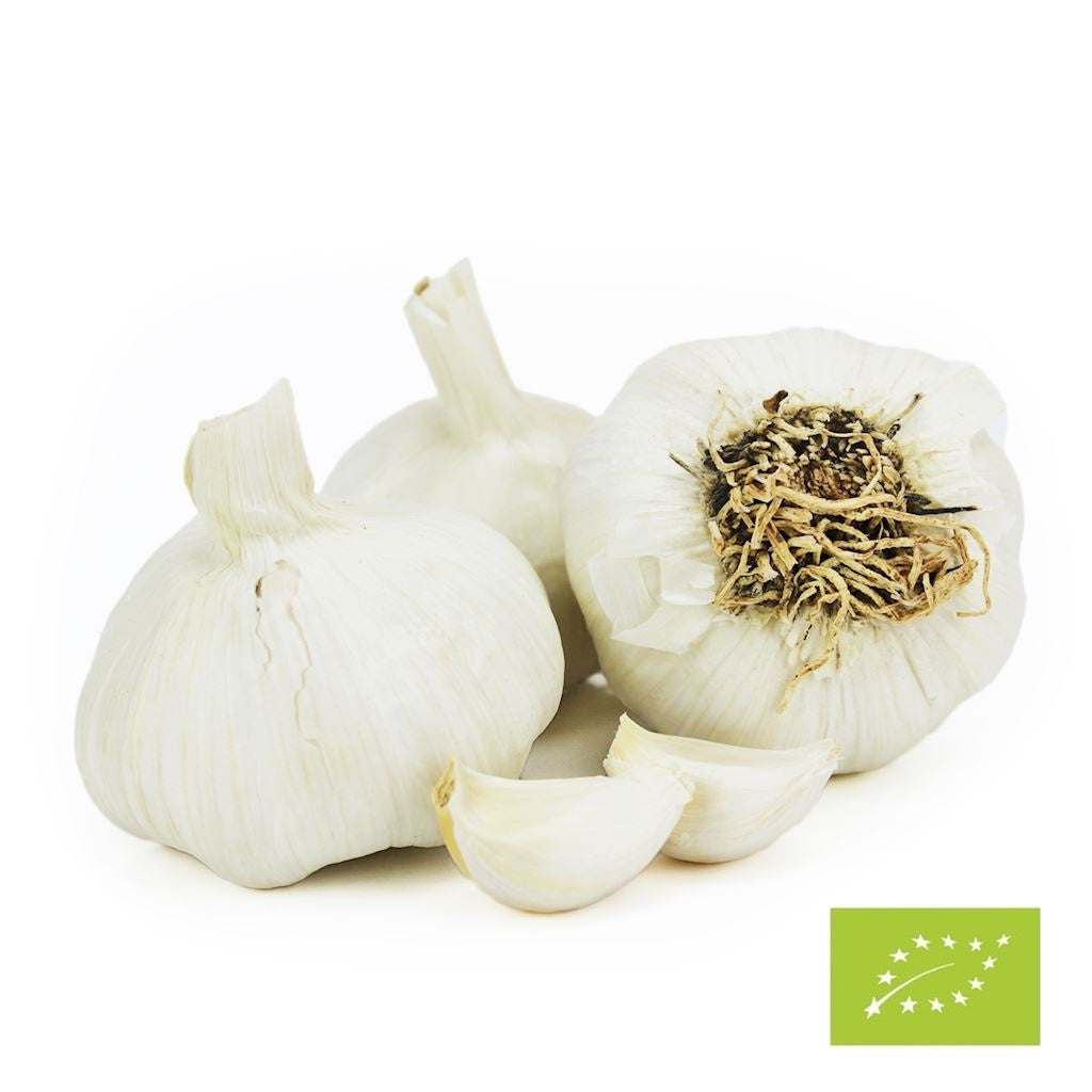 Czosnek świeży bio - około 5 kg