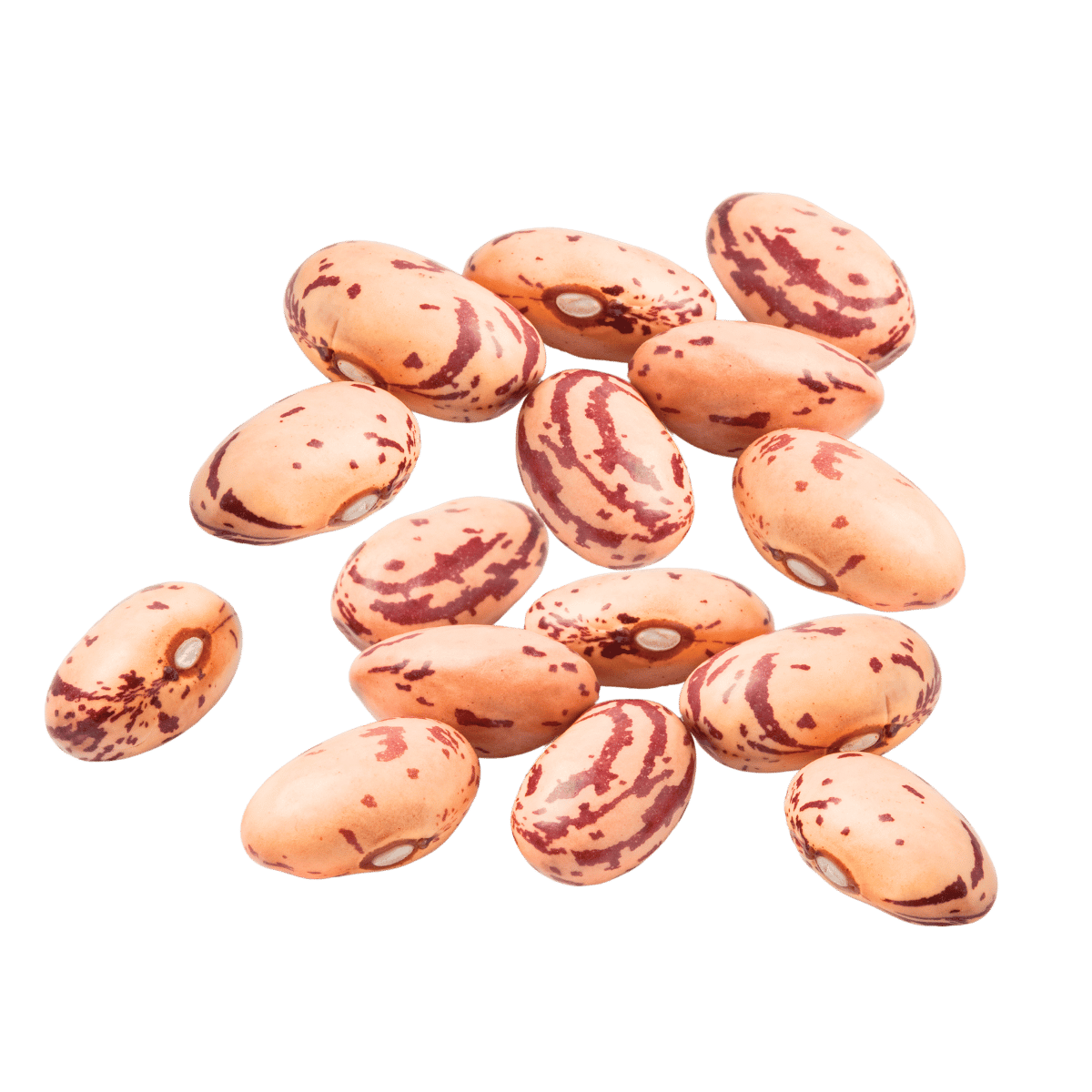 Fasola kolorowa - malinka 250 g - TOLA