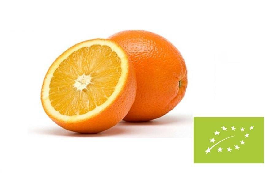Pomarańcze świeże bio - opakowanie zbiorcze kg