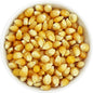 Popcorn (ziarno kukurydzy) BIO (surowiec) (25 kg) 2