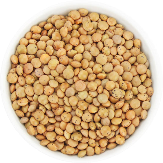 Soczewica brązowa BIO (surowiec) (25 kg) 6